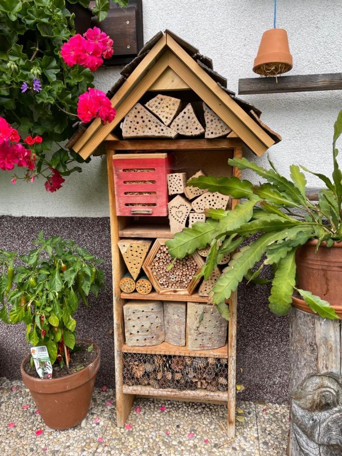 Ferienwohnung Sonnschein Bad Mitterndorf Luaran gambar